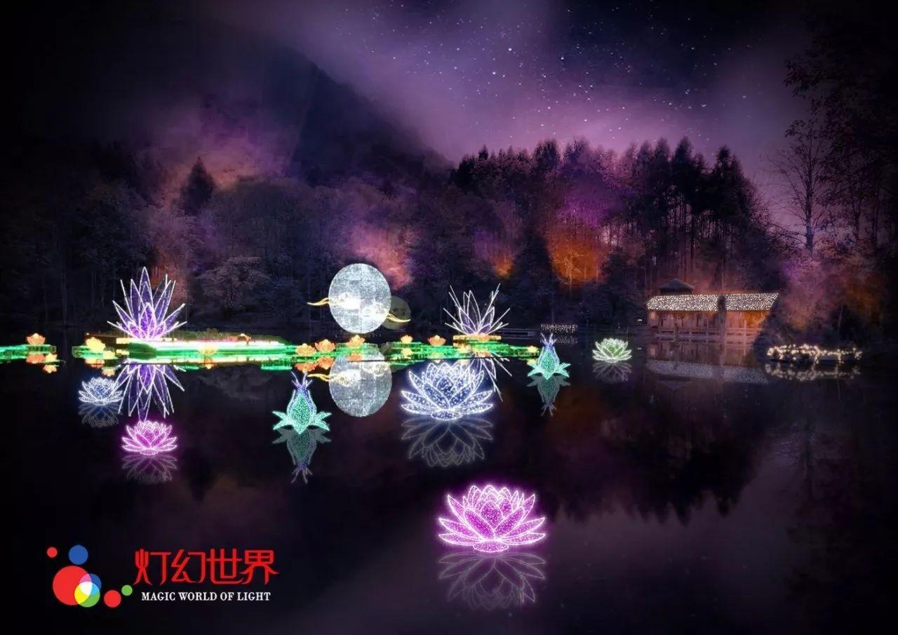杨丽代表:三尺讲台守初心 呵护幼苗吐春芽